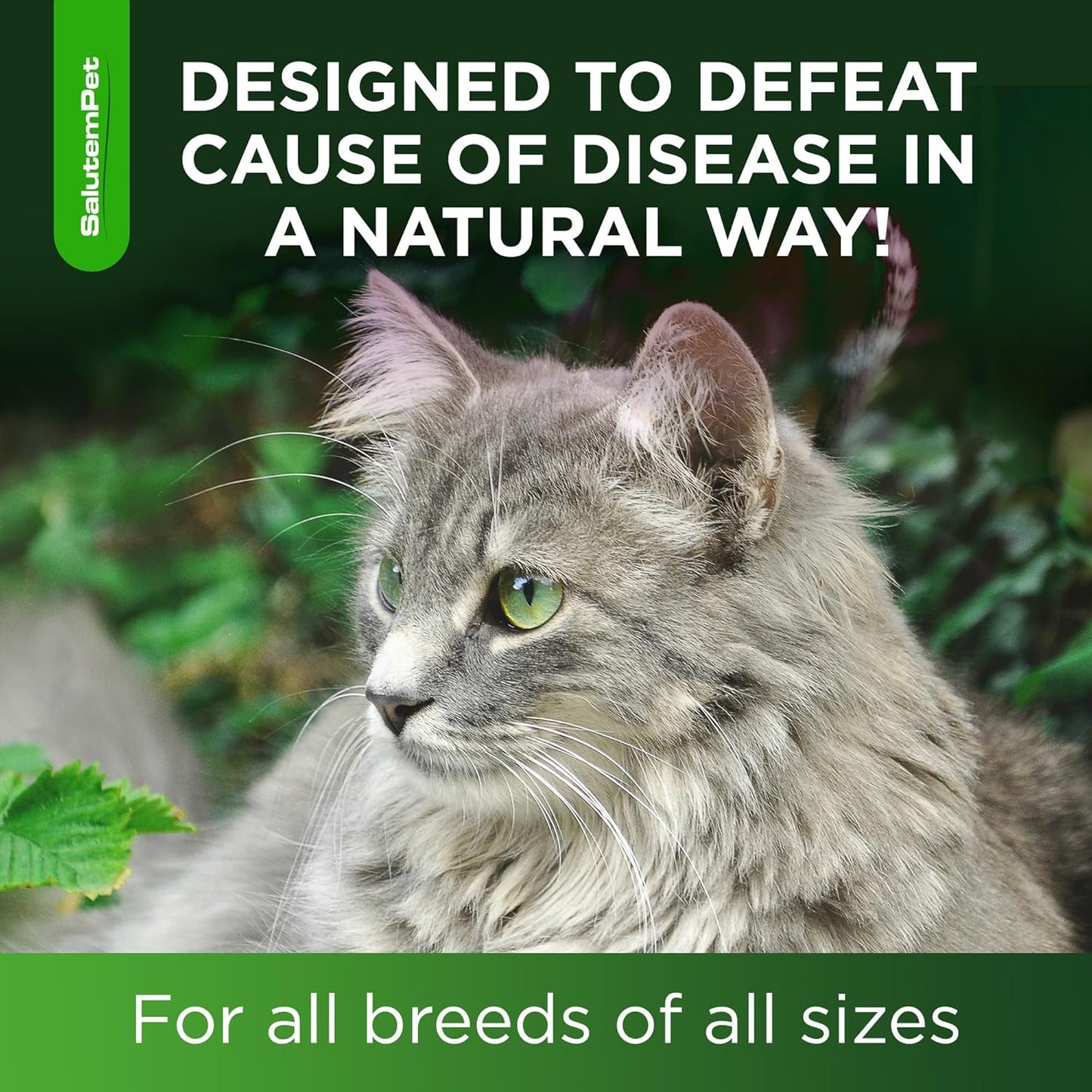 Side view of SalutemPet two Ounce natural cat antibiotic bottle packaging