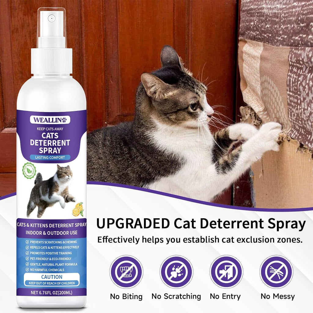 WEALLIN Cat Deterrent Spray, 6.76 FL Oz Natural Cat Repellent Spray Indoor & Outdoor, Anti-Scratch Training Aid for Furniture, Sofas, Rugs, Curtains, Plants - Non-Toxic, Alcohol-Free Formula - Image 2