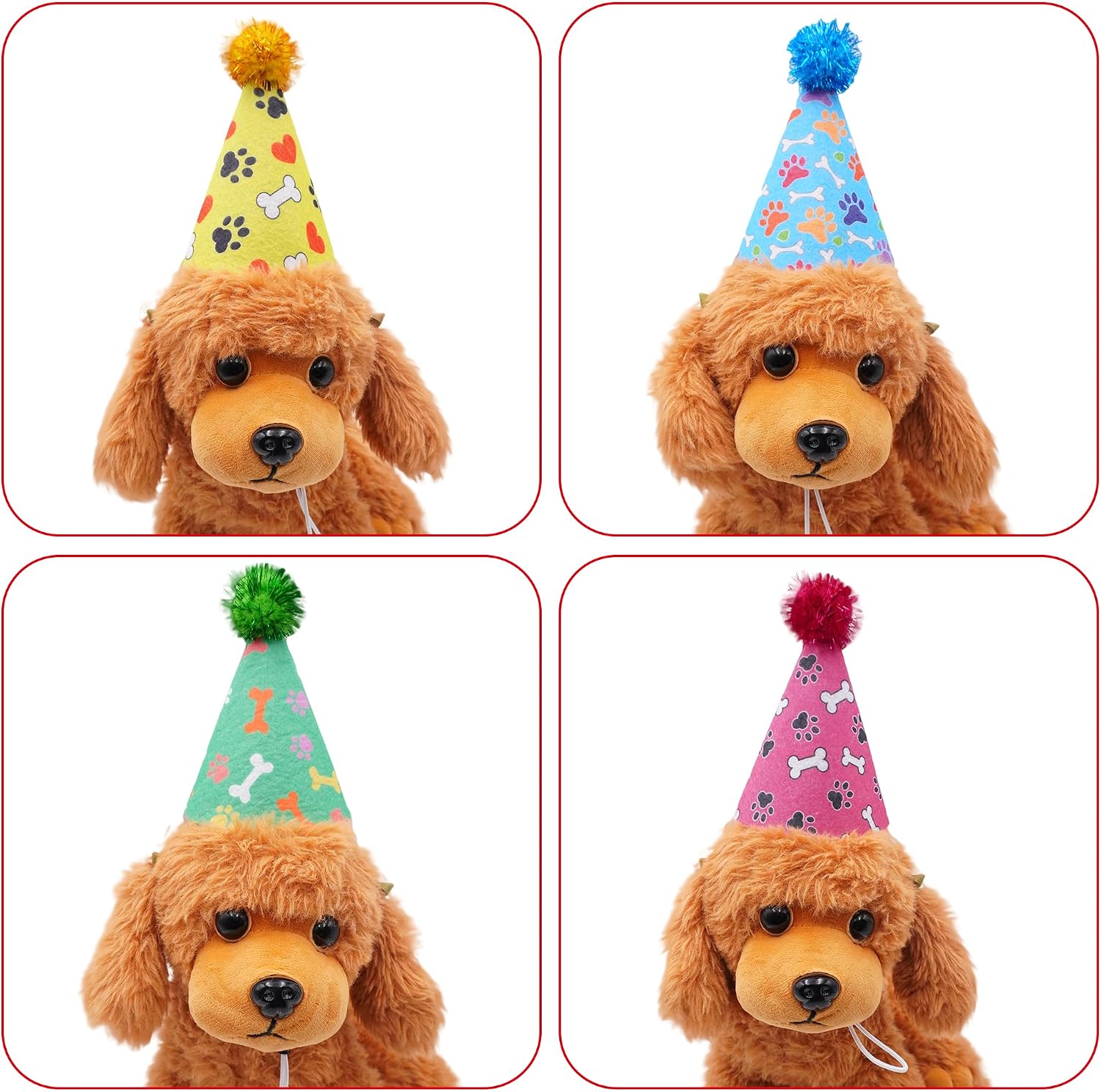 Small puppy wearing JpGdn birthday hat for celebration photo shoot