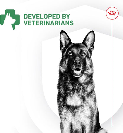 Royal Canin Probiotics for Dogs Digestive and Immune Health Powder Supplement for Dogs of All Ages, 30 Count - Image 9