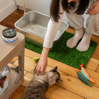 Imported USA premium pet odor removing gel on display.