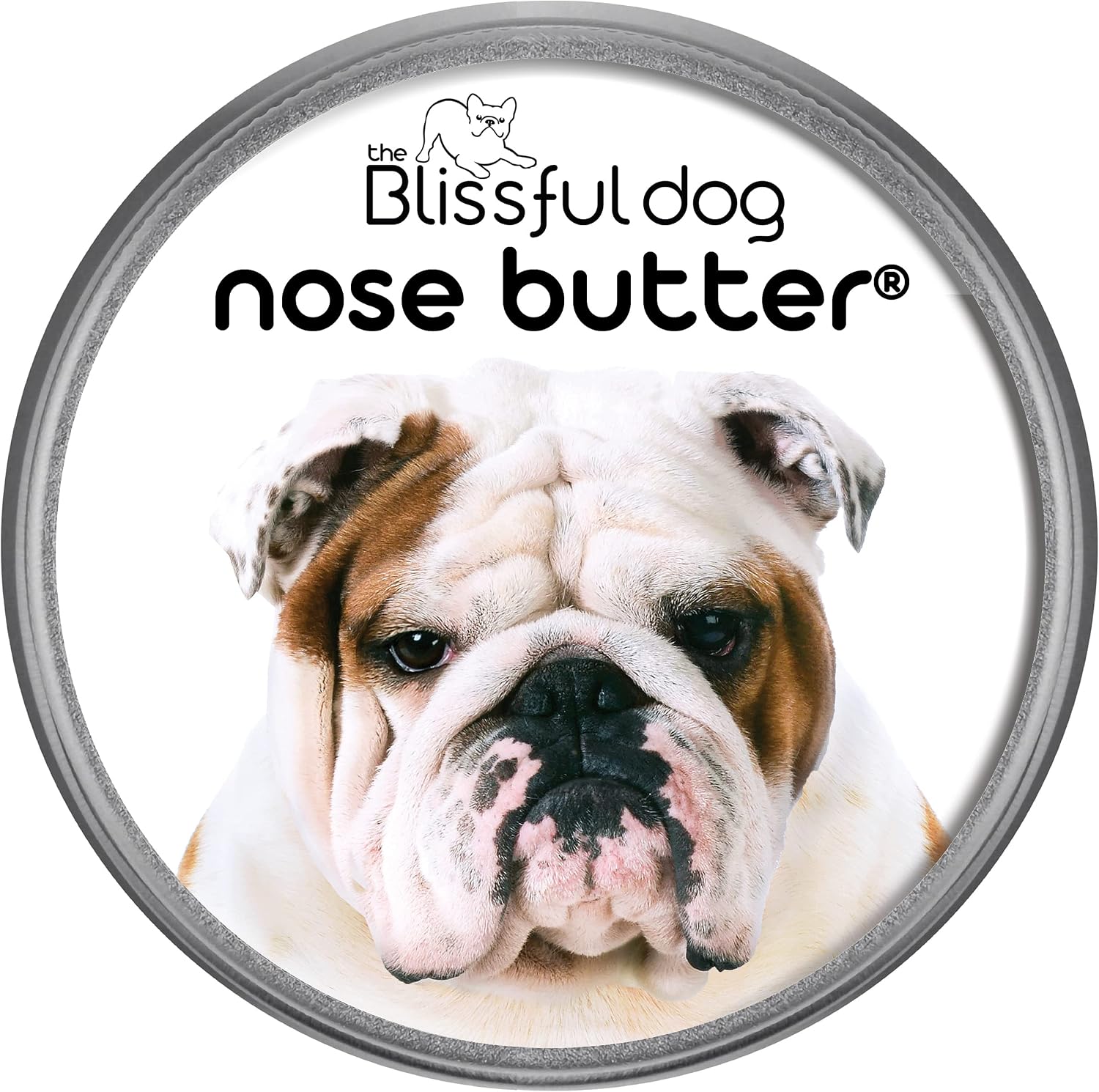 The Blissful Dog Bulldog Nose Butter front view of one ounce tin for dry snout relief.