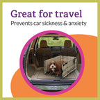 Dog sleeping comfortably inside a crate with Pet Dreams bumper
