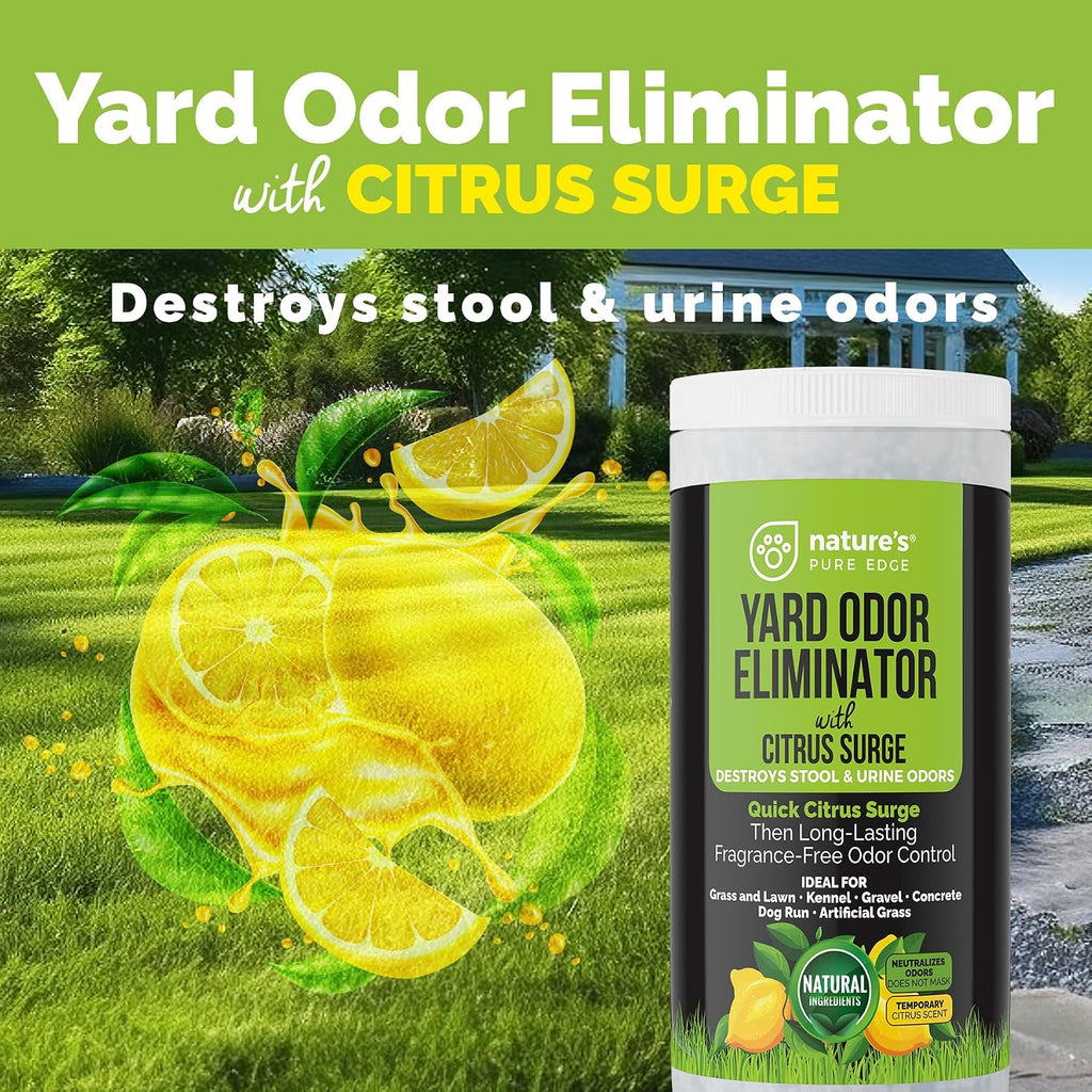 Natural mineral granules being sprinkled onto an artificial grass lawn to stop dog urine odor.