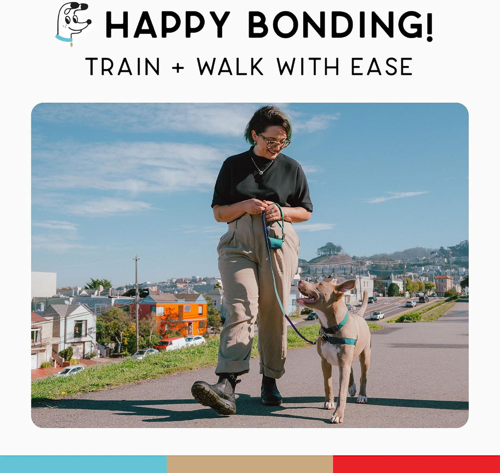 Small dog wearing turquoise Wildebeest training harness