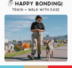 Small dog wearing turquoise Wildebeest training harness