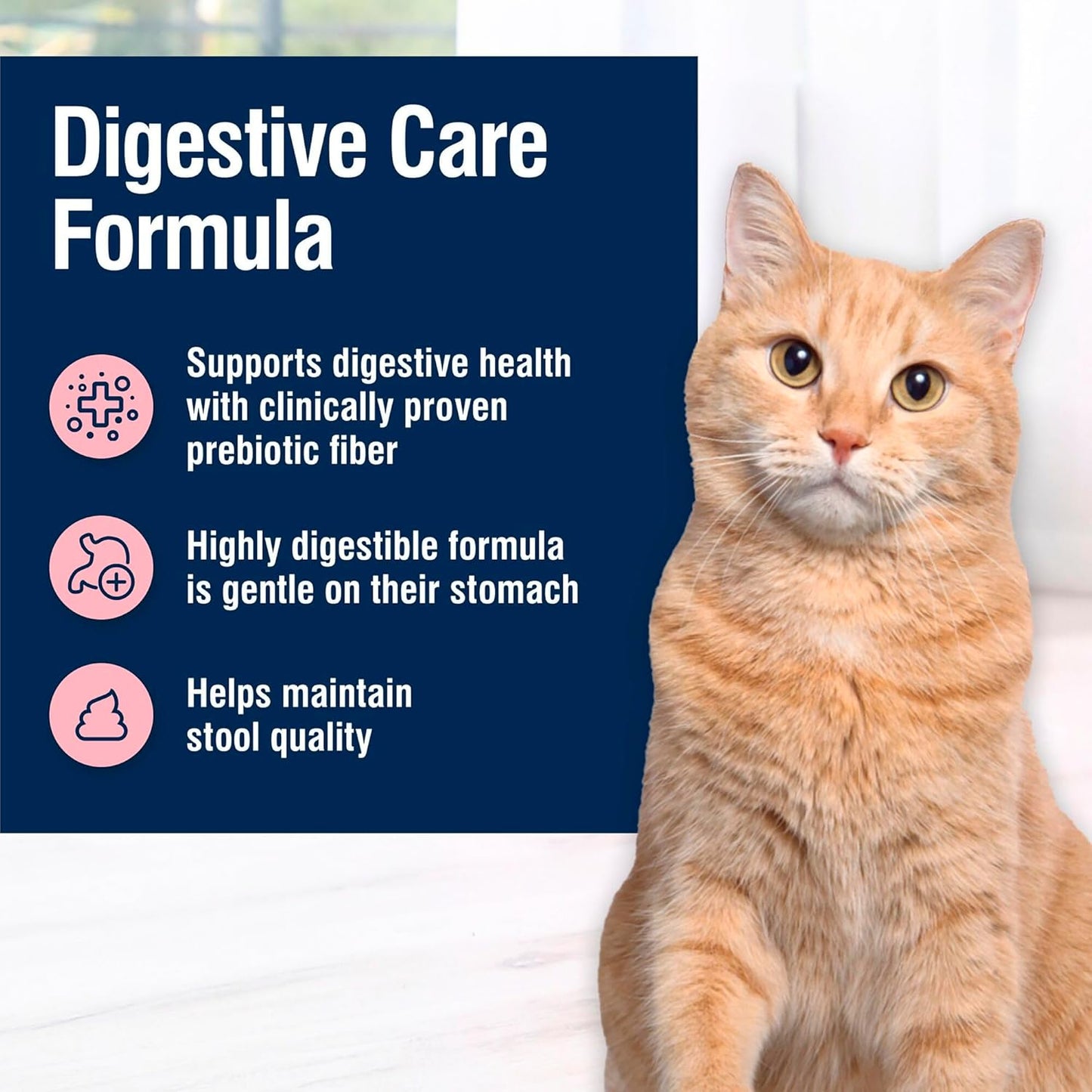 Blue Buffalo wet cat food sensitive stomach formula ingredients