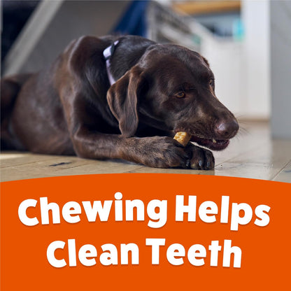 Authentic Purina Busy Bone packaging details for small and medium breed dog dental care.