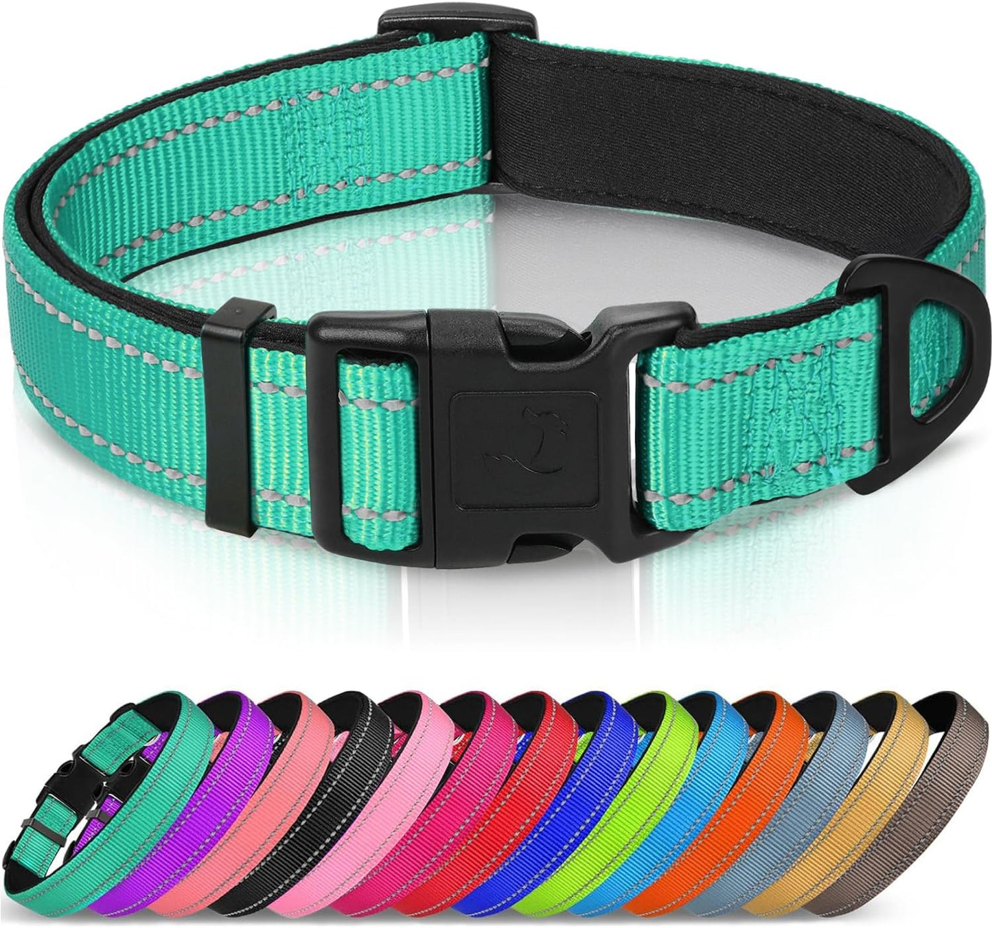 Joytale reflective dog collar front view in teal color