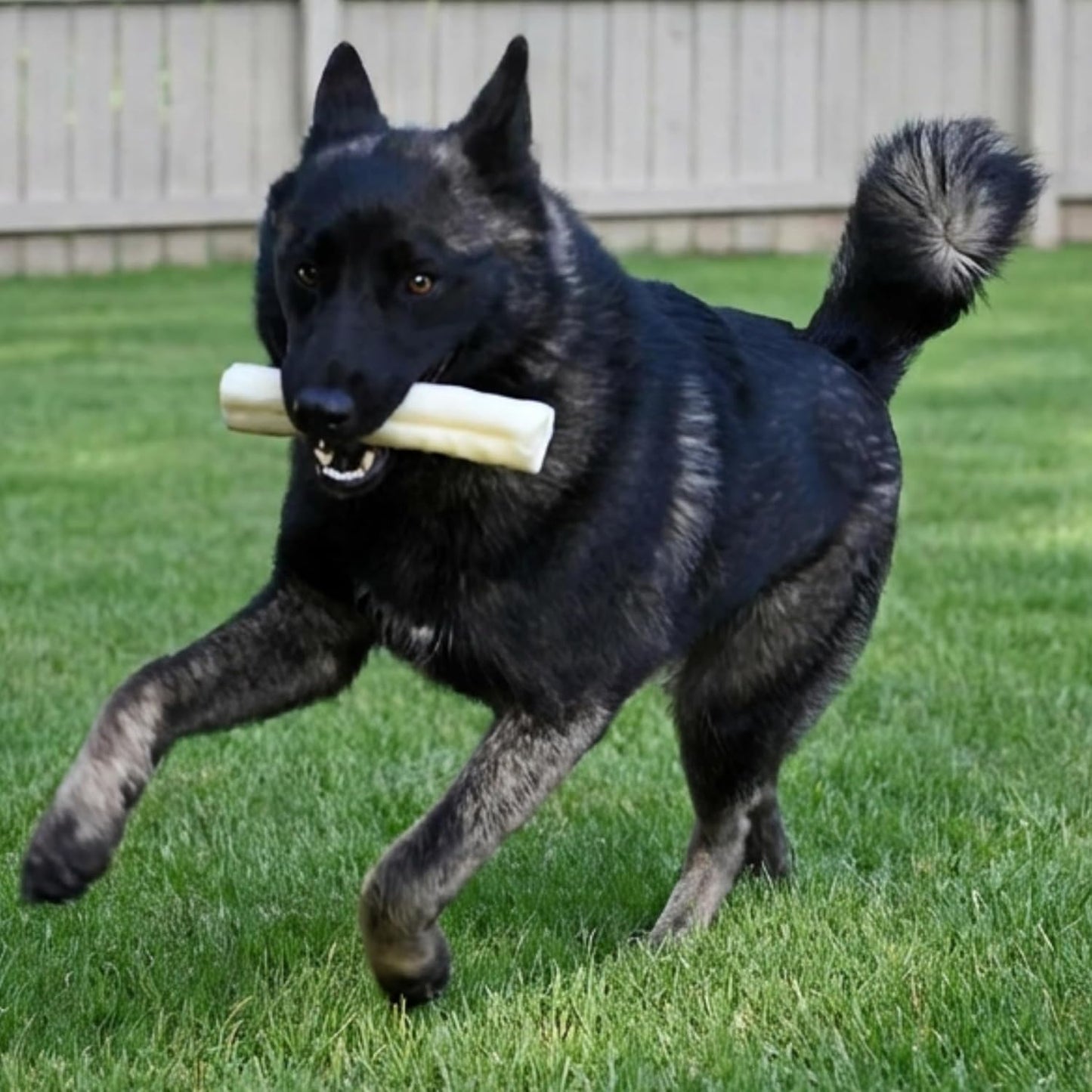 Premium beef corium rawhide alternative treats for medium and large dogs