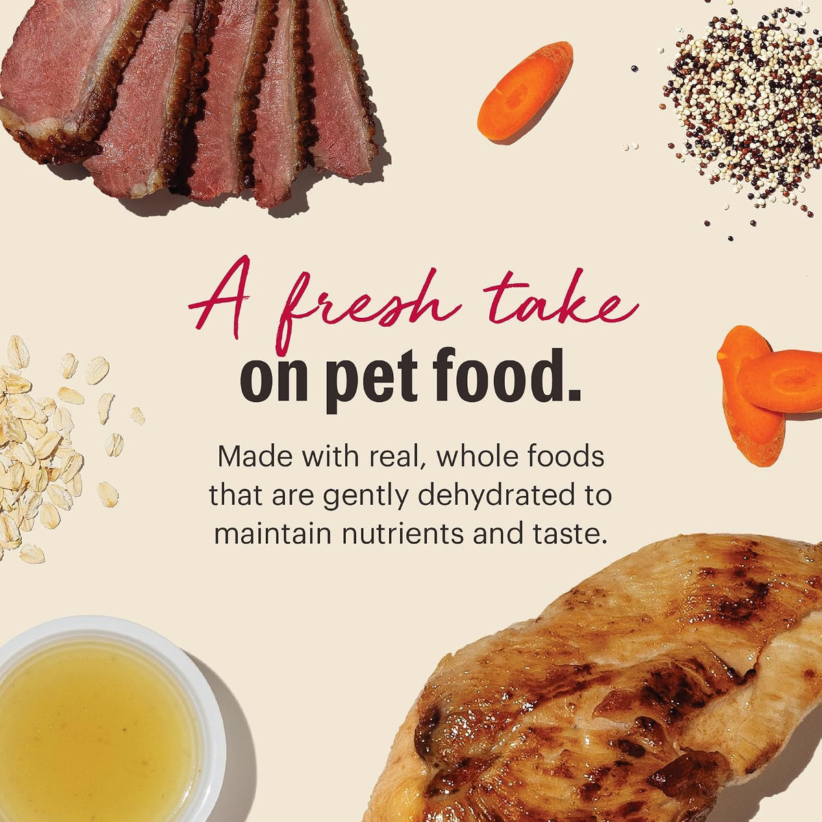 Freshly rehydrated The Honest Kitchen Gourmet Grains dog food in a bowl