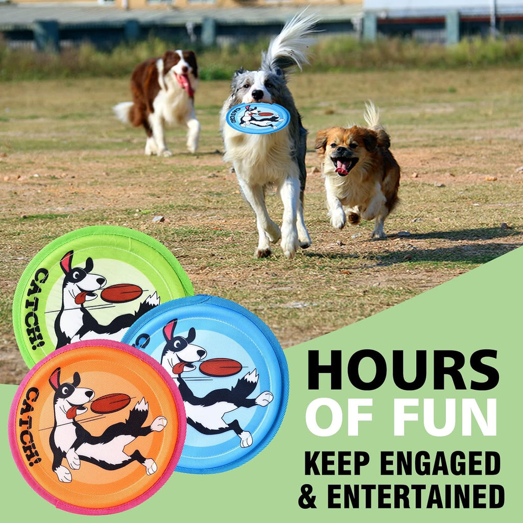 Dog playing with Xigou flying disc at the beach