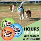 Dog playing with Xigou flying disc at the beach