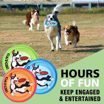 Dog playing with Xigou flying disc at the beach