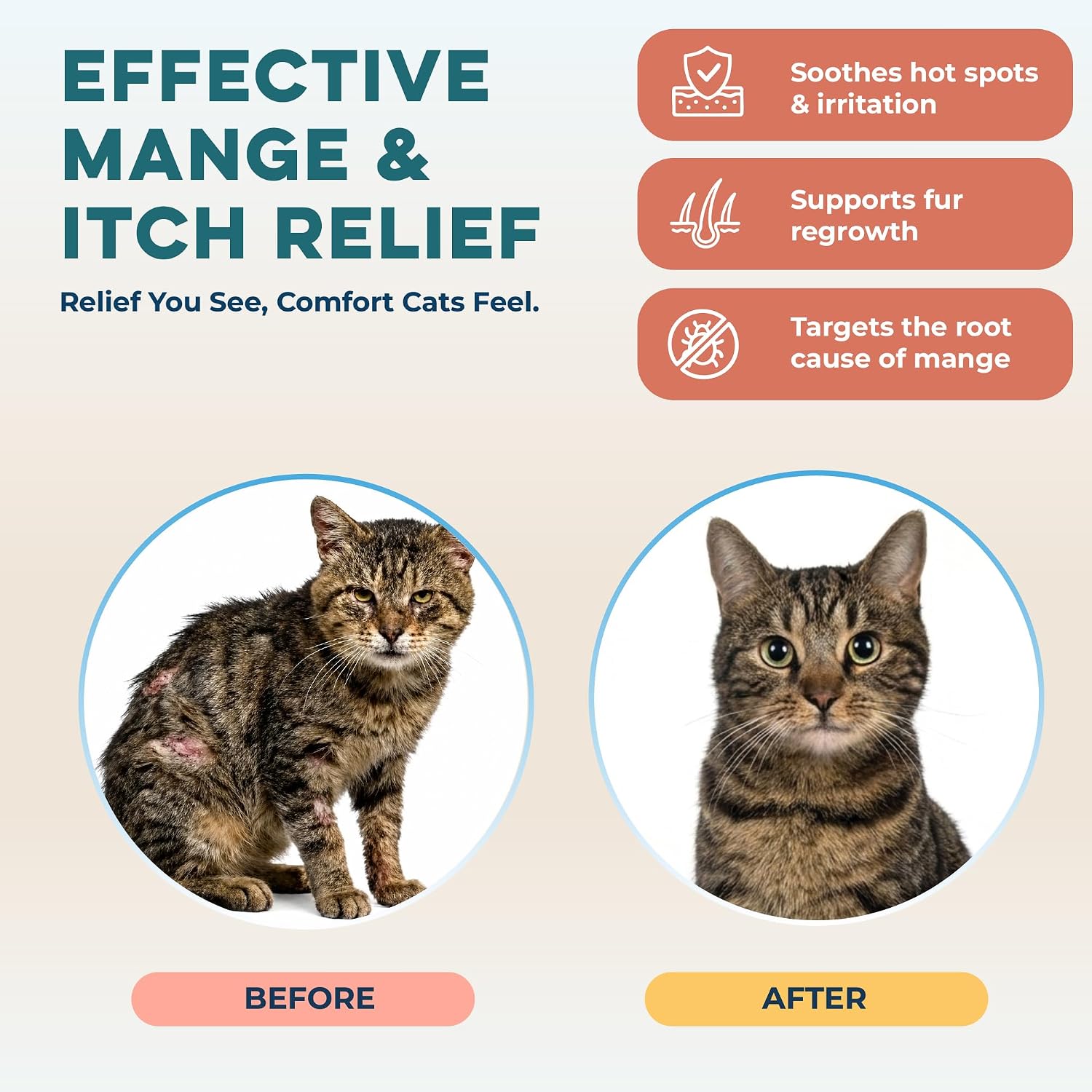 Authentic USA imported BestLife4Pets cat first aid supplement bottle.