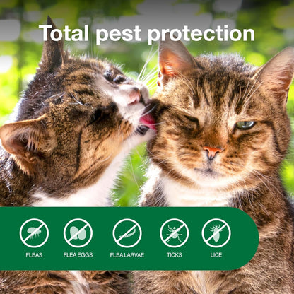 Authentic Advantage pet flea spray for cats