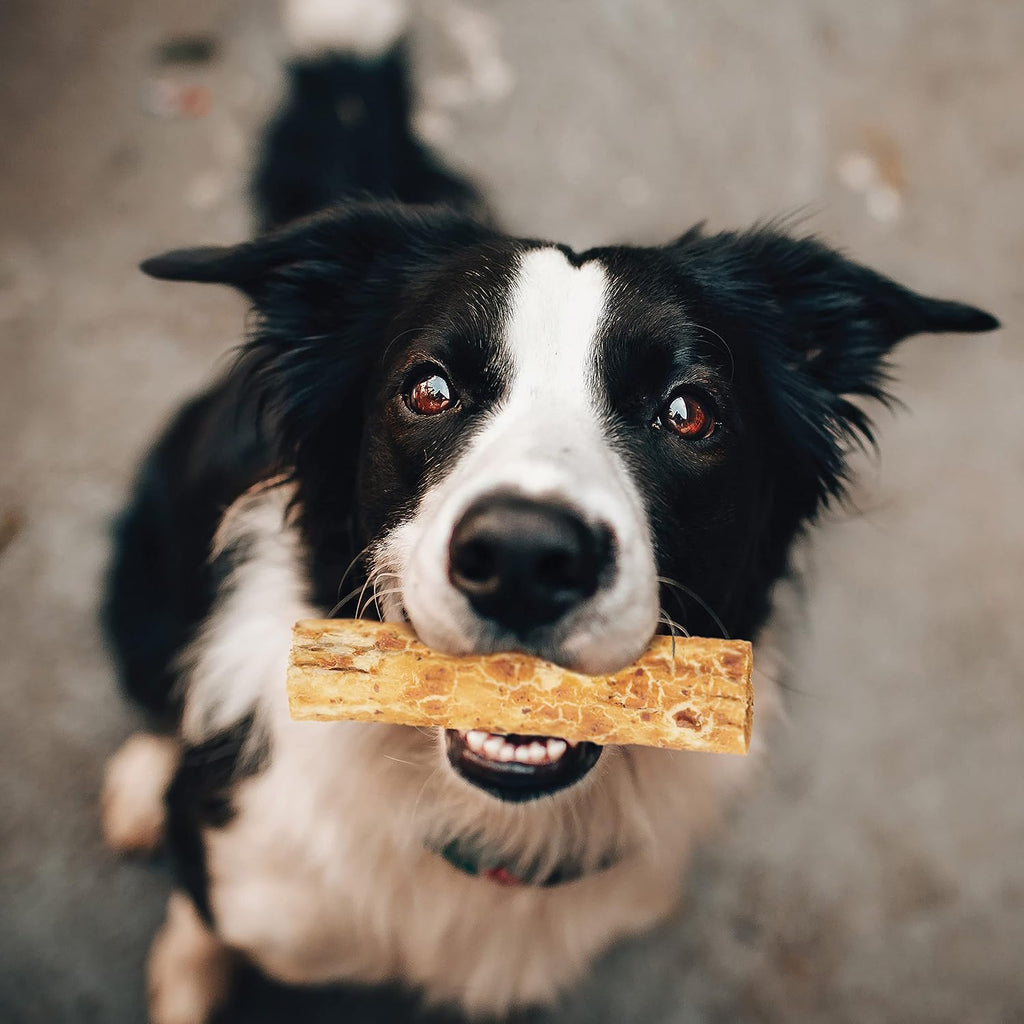 Fieldcrest Farms collagen based digestible dog chews for moderate chewers close up