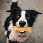 Fieldcrest Farms collagen based digestible dog chews for moderate chewers close up