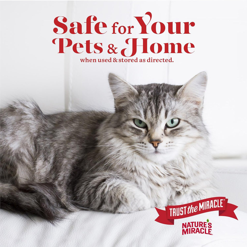 Enzymatic pet cleaner placed on living room carpet