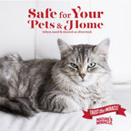 Enzymatic pet cleaner placed on living room carpet