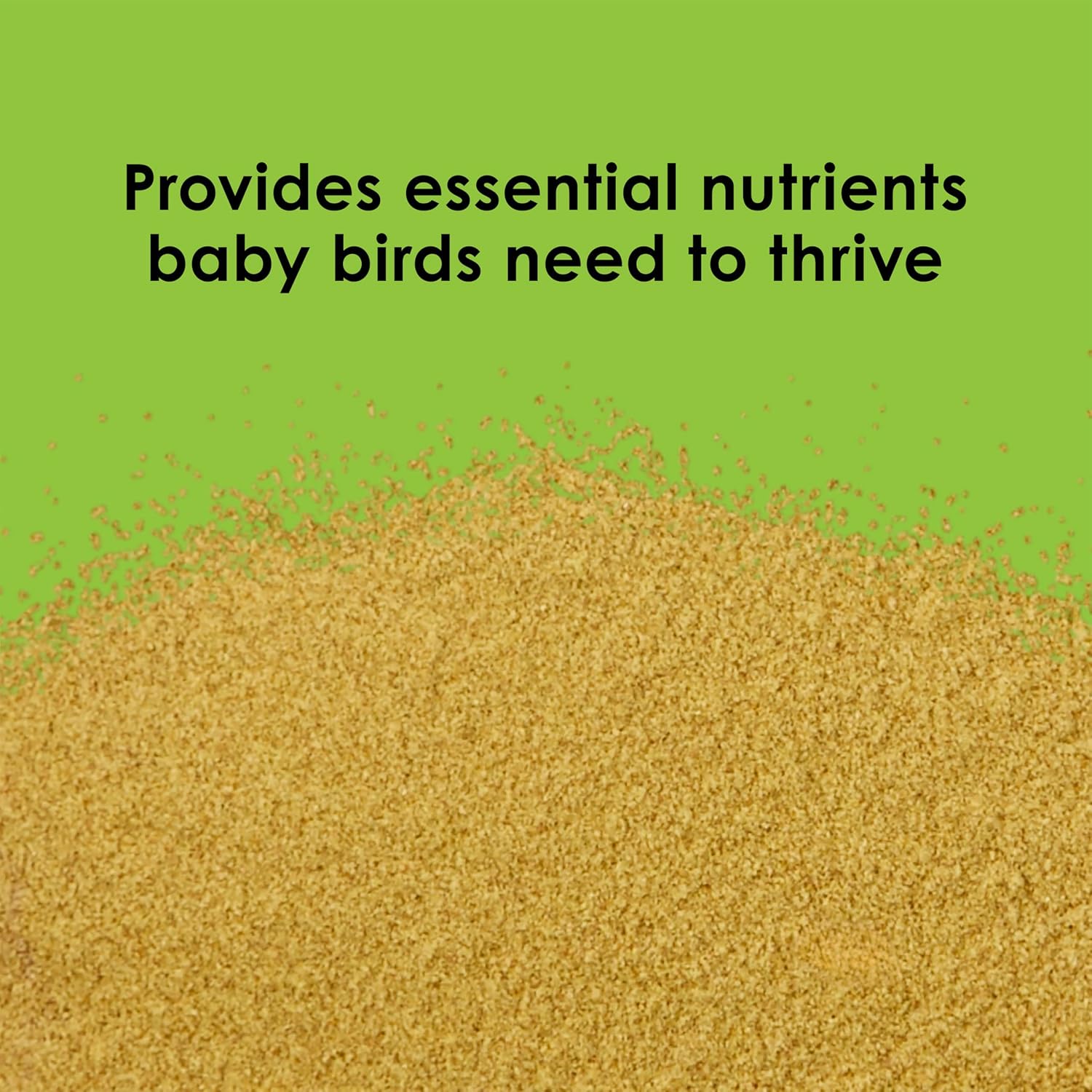 Kaytee baby bird formula texture and powder consistency
