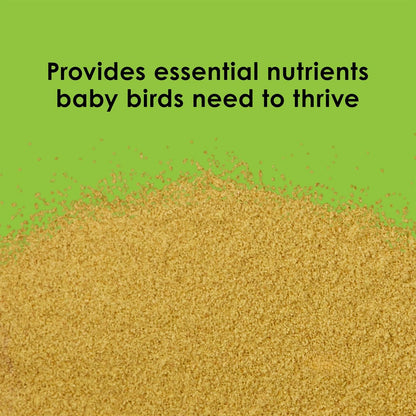 Kaytee baby bird formula texture and powder consistency