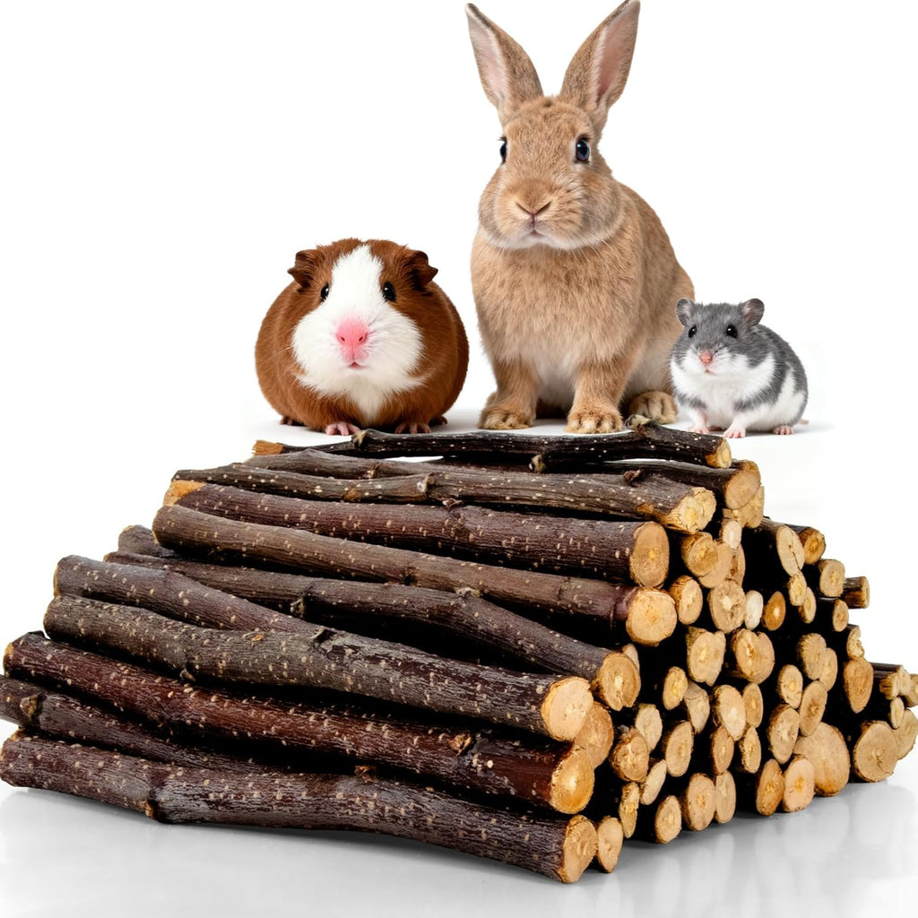 Sukh Natural Organic Apple Sticks - 250g Hamster Chew Stick Hams Rabbit Bunny Gerbil Guinea Pig Squirrel Chinchilla Small Animal Chew Sticks - Image 9