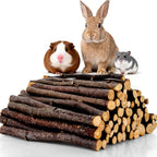 Sukh Natural Organic Apple Sticks - 250g Hamster Chew Stick Hams Rabbit Bunny Gerbil Guinea Pig Squirrel Chinchilla Small Animal Chew Sticks - Image 9