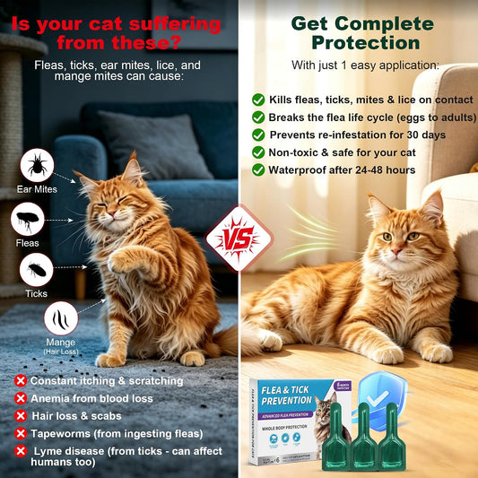 PetArmor topical spot on liquid application tubes for cats