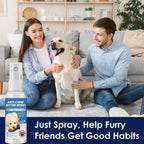 Usage demonstration of anti-chew spray on furniture