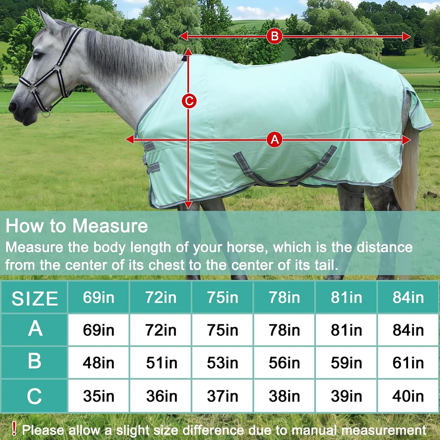 TARFEPA equine summer rug close up on rust resistant stainless steel buckles