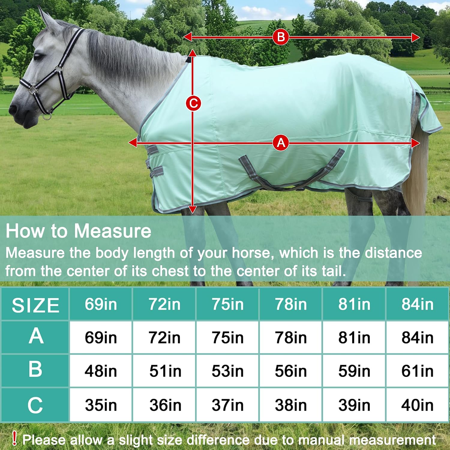 TARFEPA equine summer rug close up on rust resistant stainless steel buckles