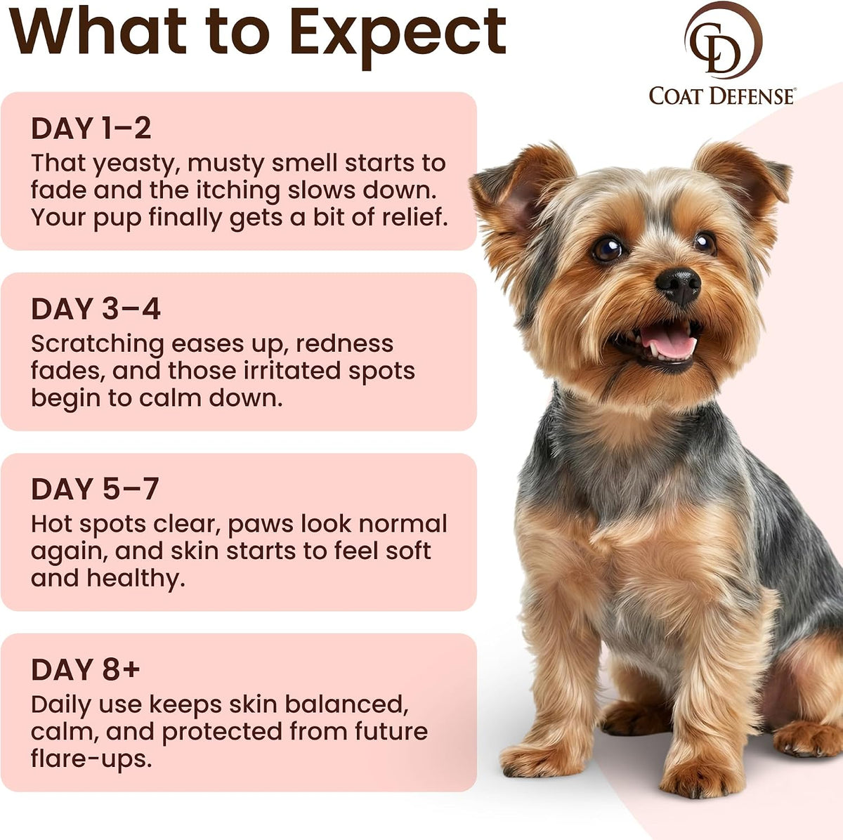 Top view of Paw Licker Bundle for dog allergy and yeast issues