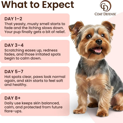 Top view of Paw Licker Bundle for dog allergy and yeast issues