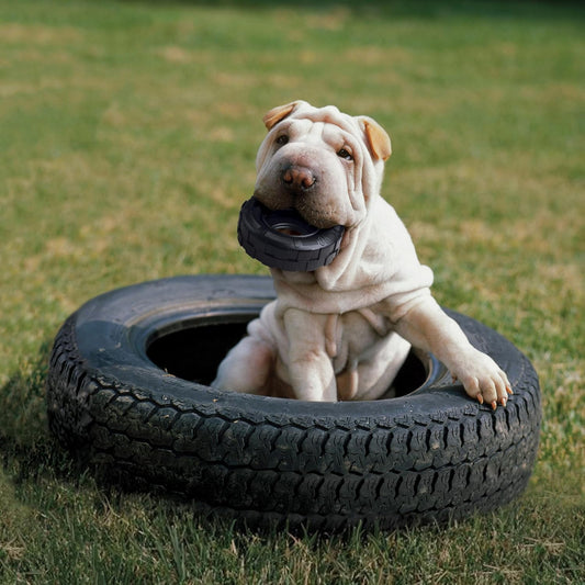 KONG Extreme Tires interactive treat dispenser filled with dog snacks.