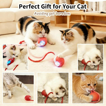 USB rechargeable smart cat ball charging port detail