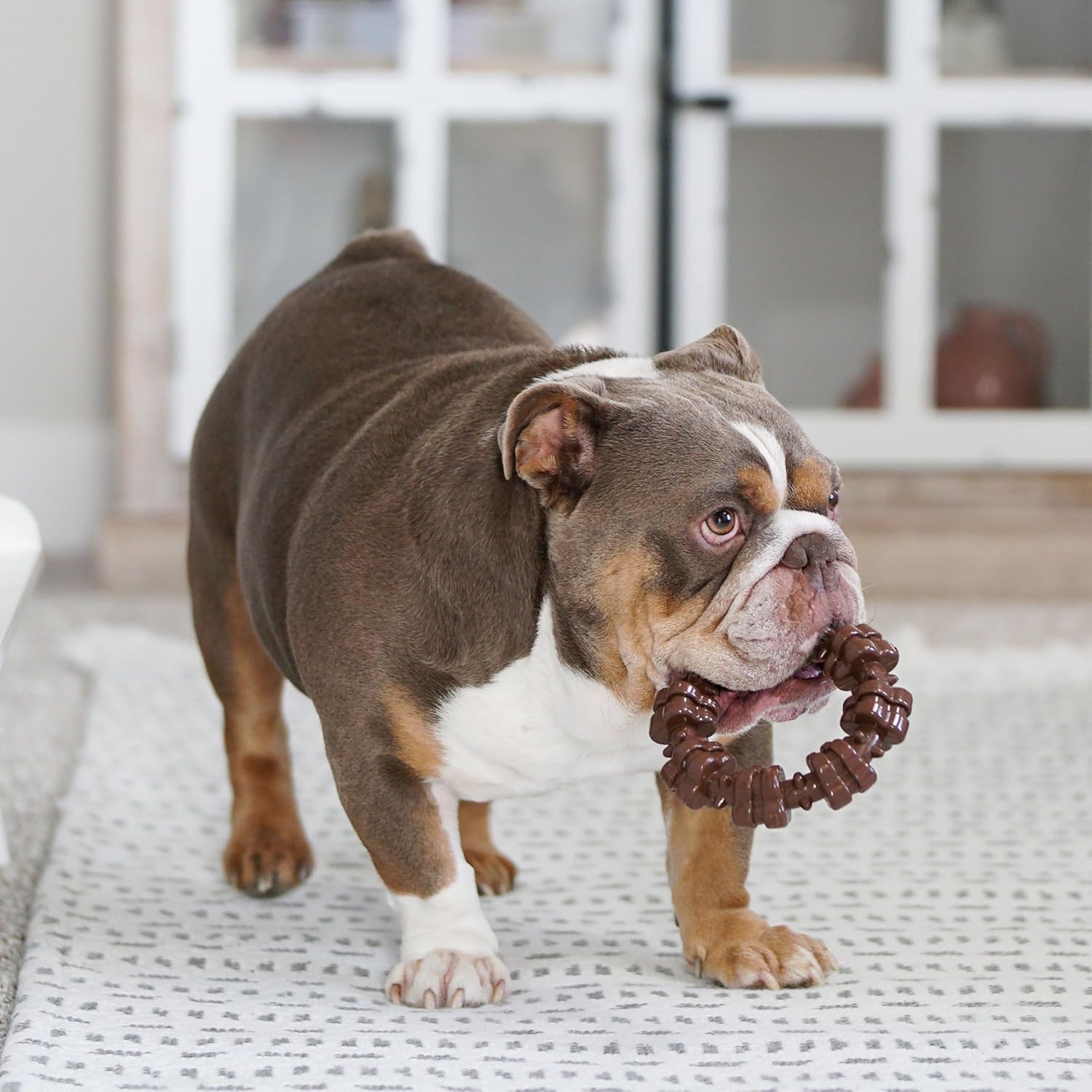 Packaging of authentic USA imported Nylabone Power Chew toy for large dogs.