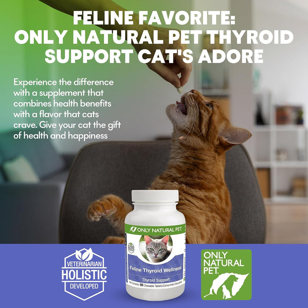 Cat wellness supplement with L-carnitine and lemon balm