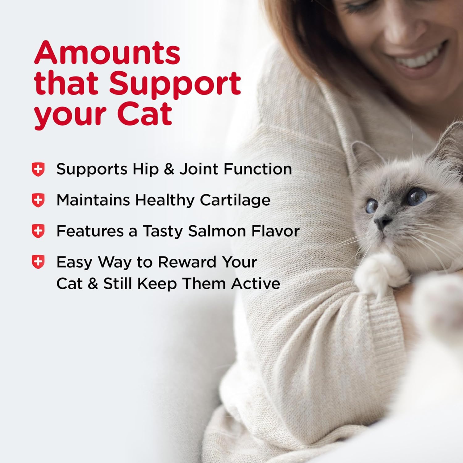 Nutri-Vet veterinary formulated glucosamine and MSM paw gel texture sample.