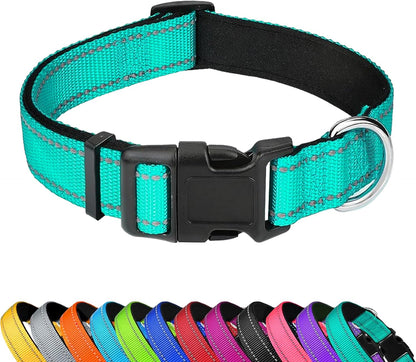 PWOD teal reflective dog collar front view for medium dogs