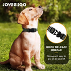 Side view of adjustable martingale dog collar for training