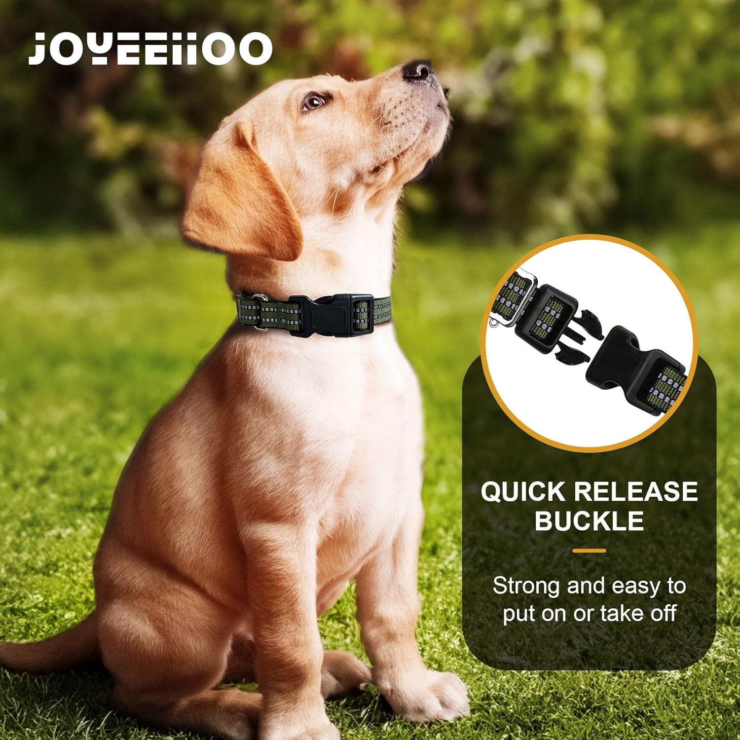 Side view of adjustable martingale dog collar for training