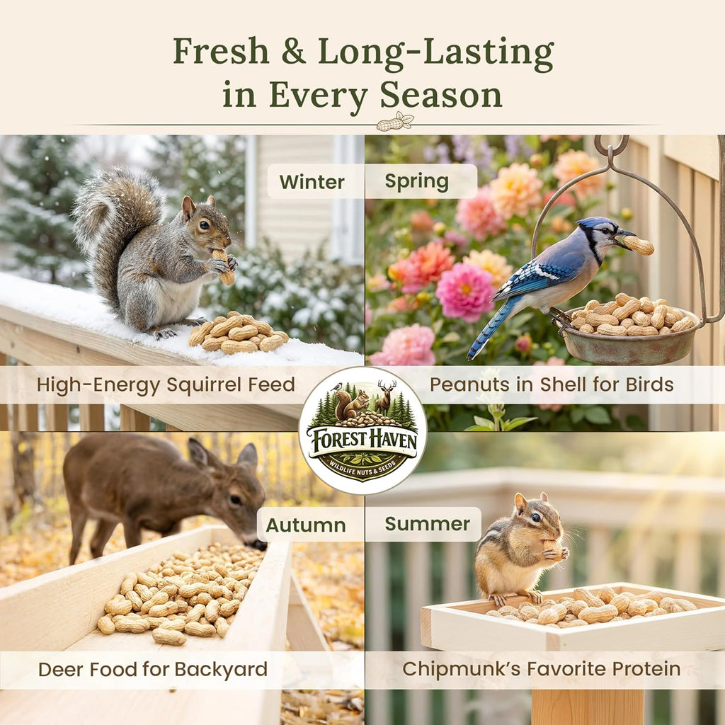 Forest Haven 10 pound squirrel food label