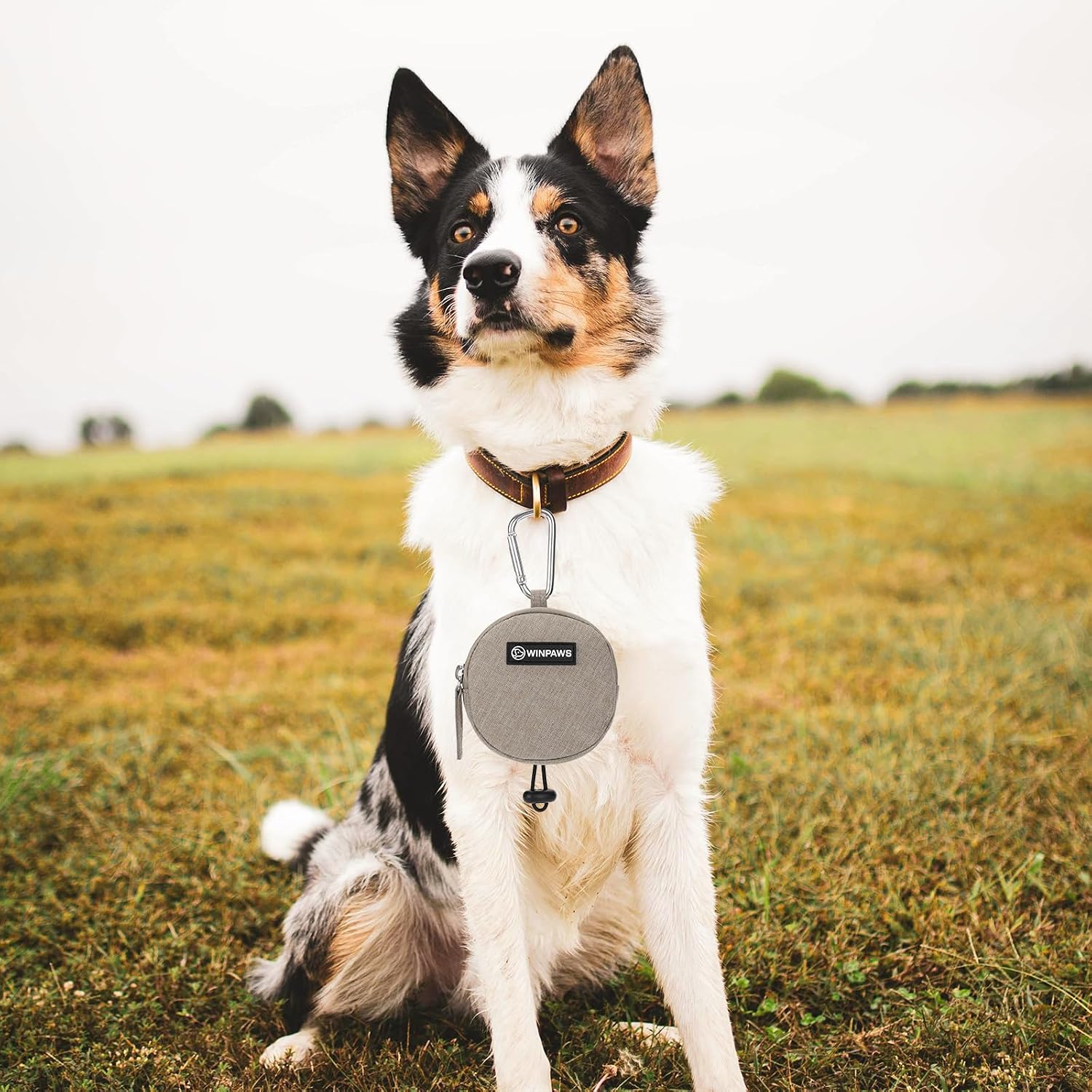 Khaki canvas dog waste bag dispenser and snack carrier shown with included poop bag roll