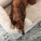 Side profile of CuddleTown sofa bed showing 8 inch height