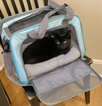 Enjoying puppy travel bed placed flat inside a compact pet carrier setup