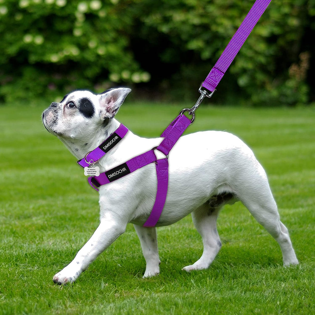 Detailed view of durable chest straps on Ipravoci harness