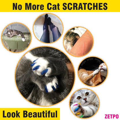 Safe and comfortable feline claw caps application instructions for indoor cats