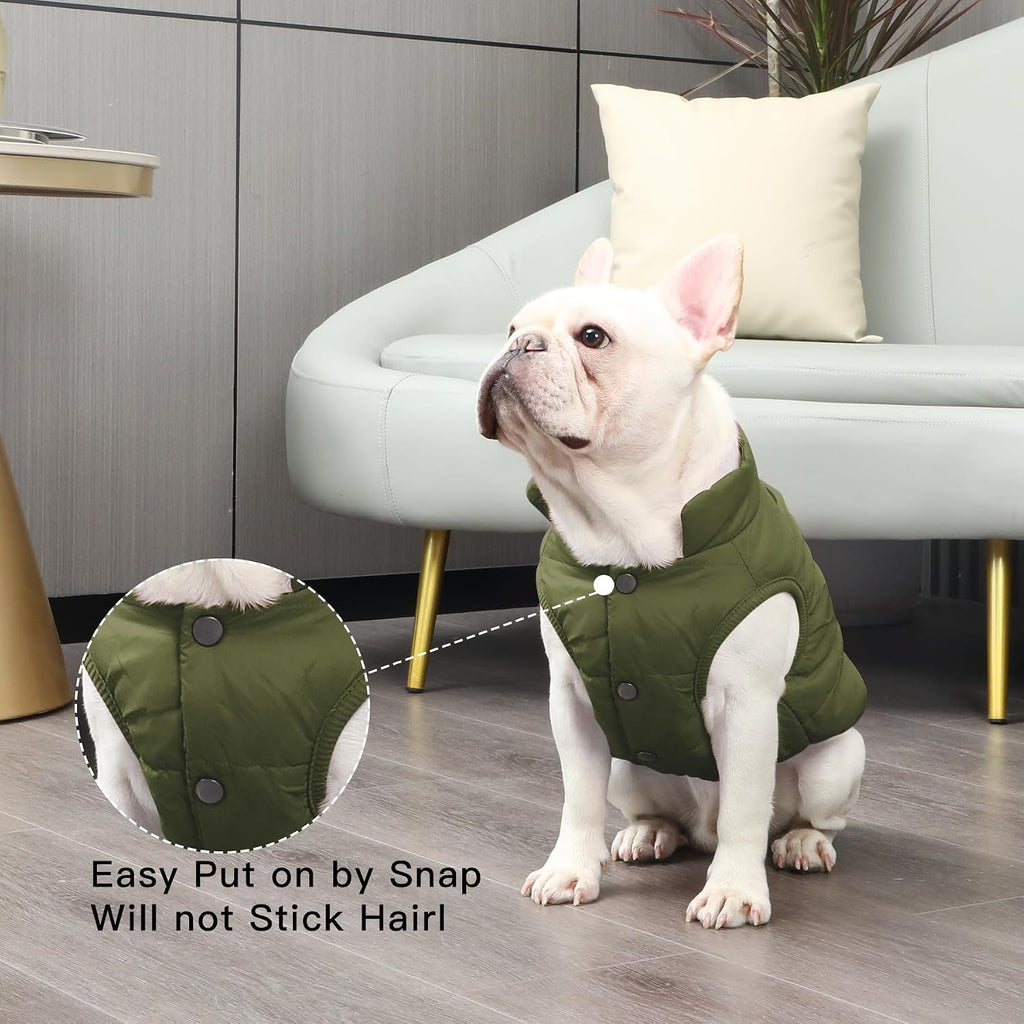 JoyDaog windproof dog coat showing elastic edges