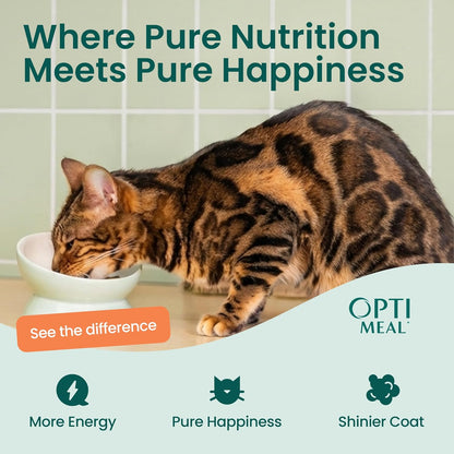 Optimeal digestive health adult cat wet food product shot